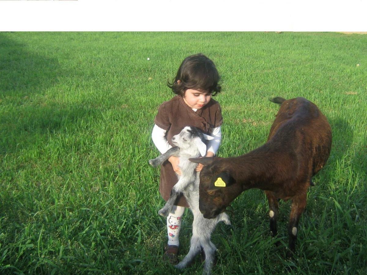 Turrubuelo Casa Rural La Casa De Los Pollos מראה חיצוני תמונה